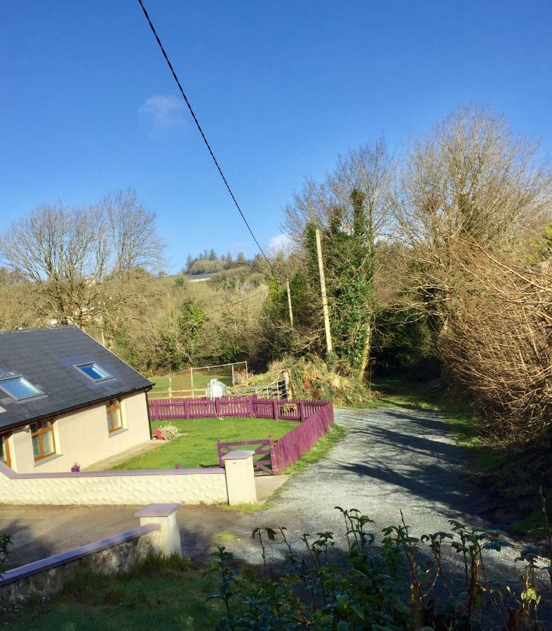 Killarney Saoirse Cottage Luaran gambar